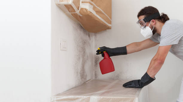 Professional Mold Removal technician working in Marlton, NJ